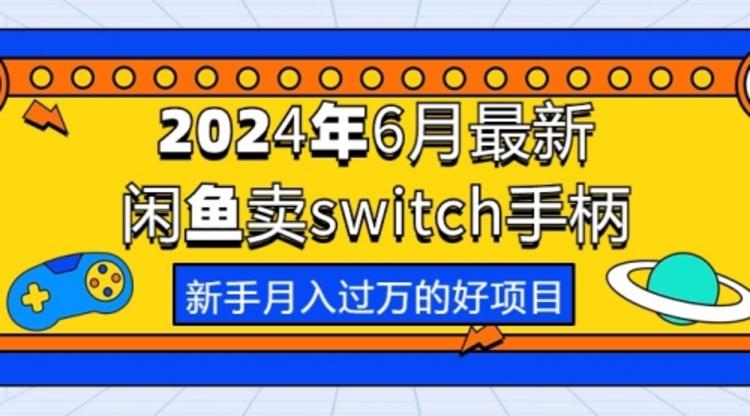 2024年6月最新闲鱼卖switch游戏手柄