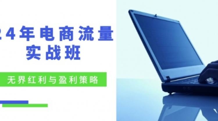 24年电商流量实战班：无界红利与盈利策略，终极提升/关键词优化/精准人群拓展/创新玩法