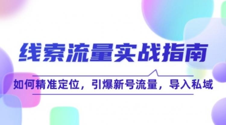 线 索 流 量-实战指南：如何精准定位，引爆新号流量，导入私域