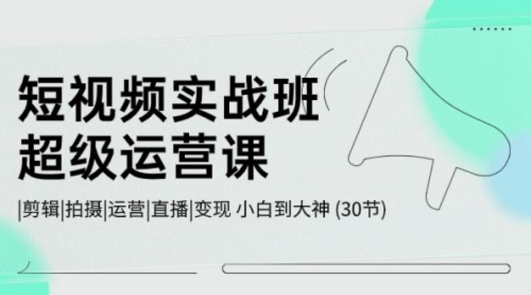 短视频实战班-超级运营课，|剪辑|拍摄|运营|直播|变现 小白到大神 (30节)