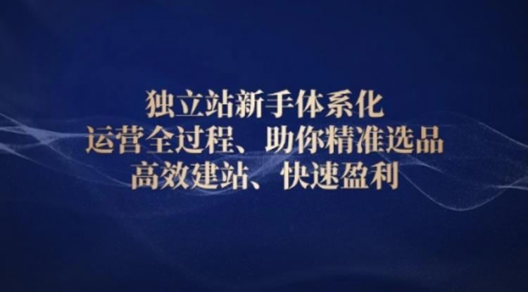 独立站新手体系化 运营全过程，助你精准选品、高效建站、快速盈利