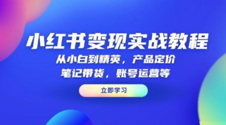 小红书变现实战教程：从小白到精英，产品定价，笔记带货，账号运营等