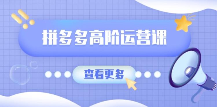 拼多多高阶运营课：极致群爆款玩法，轻付费无尽复制，打造单品爆款之路