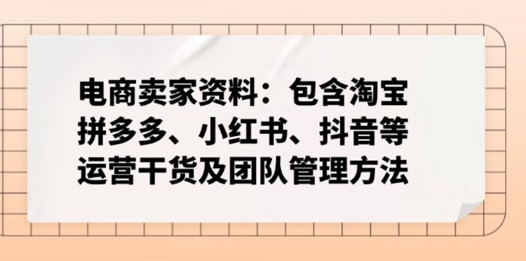 电商卖家资料：包含淘宝、拼多多、小红书、抖音等运营干货及团队管理方法