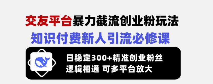 交友平台暴力截流创业粉玩法，知识付费新人引流必修课，日稳定300+精准粉